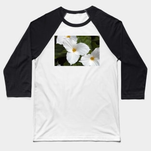 Spring is Finally Here Baseball T-Shirt